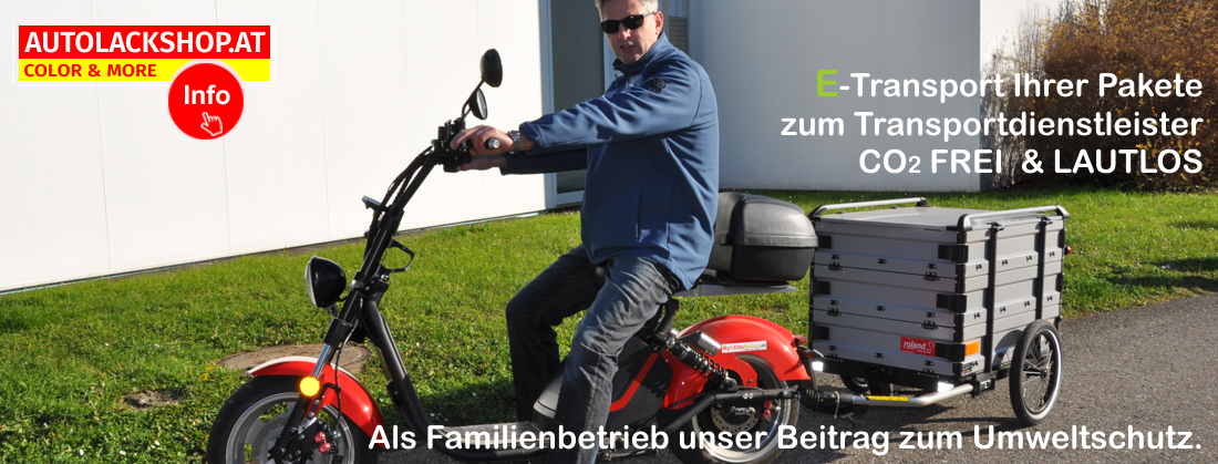 Lastentransport per E-Roller